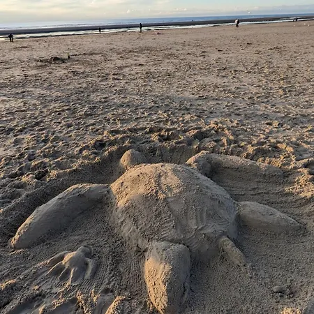 Fort-mahon Vue 50m Parking Prive